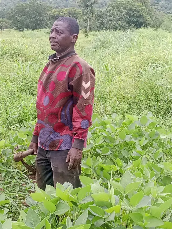 Dicíkíde wɔɔ̀hṵ̀